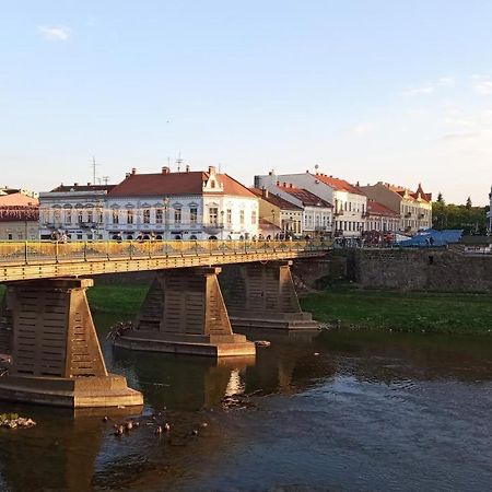 Затишна Двокімнатна Квартира В Самому Серці Ужгорода Oezjhorod Buitenkant foto