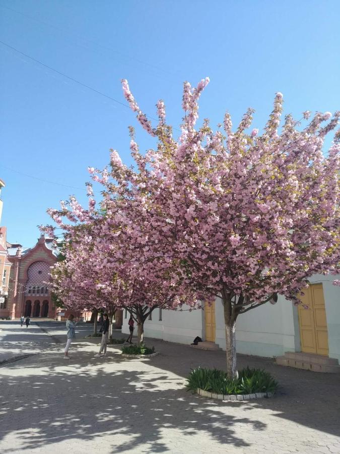 Затишна Двокімнатна Квартира В Самому Серці Ужгорода Oezjhorod Buitenkant foto